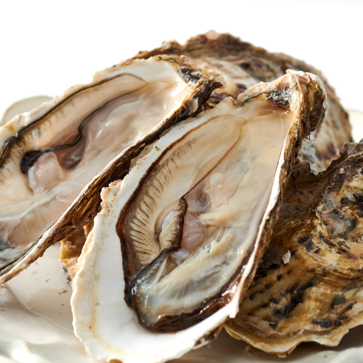 生牡蠣×久米島43度ペアリングセット – YONESHIMA SHUZO Co.,Ltd